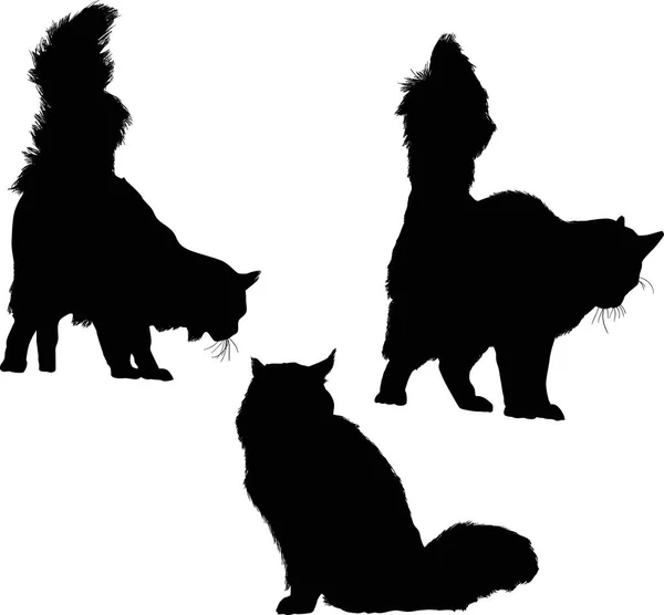 Illustration Mit Katzensilhouetten Sammlung Isoliert Auf Weißem Hintergrund — Stockvektor