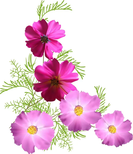 Illustration Mit Einem Bund Von Fünf Rosa Blumen Isoliert Auf — Stockvektor