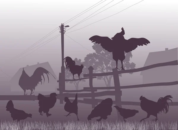 Illustration Poultry Femce — Stock Vector