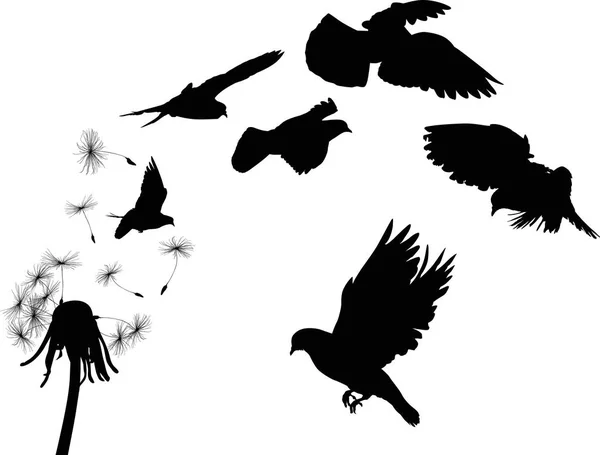 Illustration Mit Schwarzem Löwenzahn Und Tauben Auf Weißem Hintergrund — Stockvektor