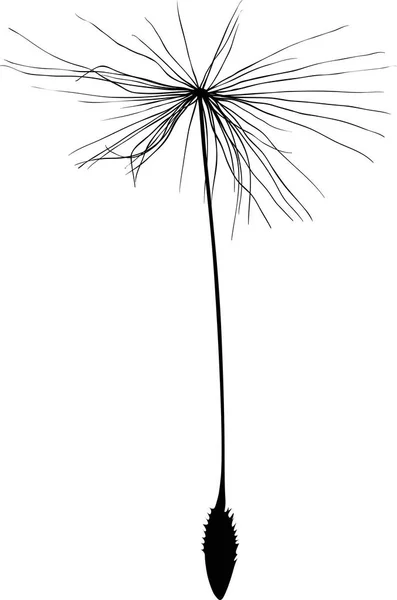 Illustration Single Dandelion Seed Silhouette Isolated White Background — Stock Vector