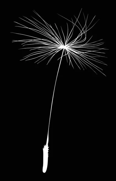 Illustration Single Dandelion Seed Silhouette Isolated Black Background — Stock Vector