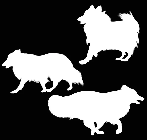 Ілюстрація Собачими Силуетами Ізольовані Чорному Фоні — стоковий вектор