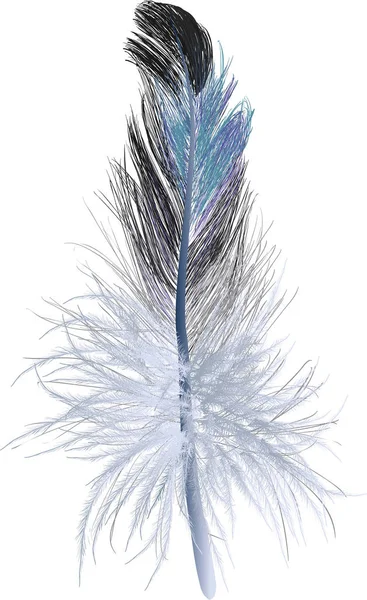 Illustration Avec Une Seule Plume Bleue Isolée Sur Fond Blanc — Image vectorielle