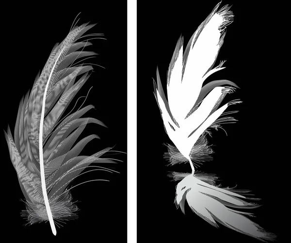 Illustration Two Feathers Isolated Black Background — Stock Vector