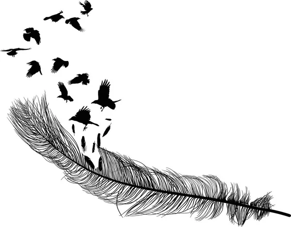 图上的乌鸦从羽毛剪影中飞舞 背景为白色 — 图库矢量图片