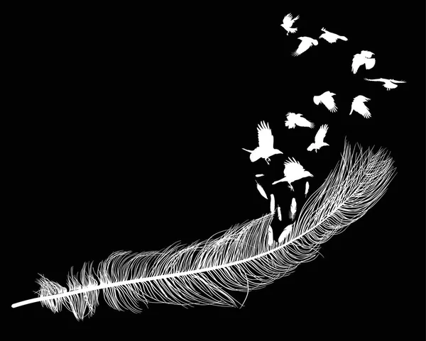 Иллюстрация Воронами Летящими Силуэта Перьев Черном Фоне — стоковый вектор