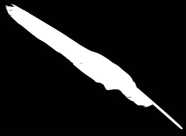 Illustration Avec Une Seule Plume Blanche Sur Fond Noir — Image vectorielle