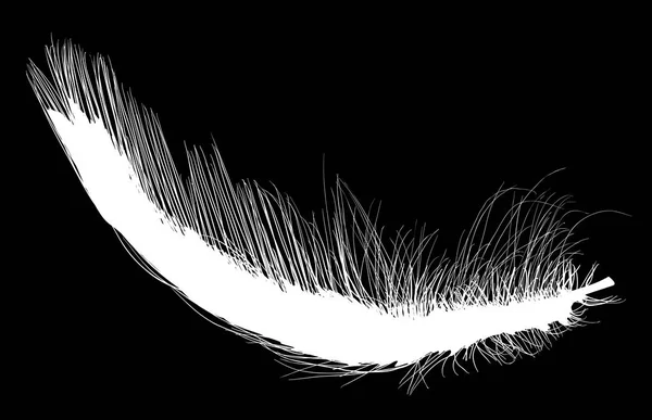 Illustration Single White Feather Black Background — Stock Vector