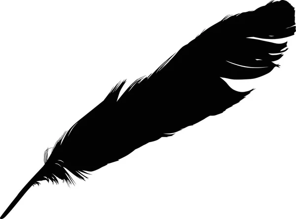 Illustration Avec Une Seule Plume Noire Sur Fond Blanc — Image vectorielle