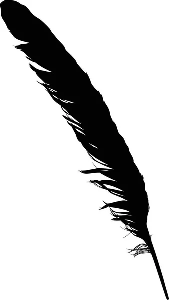 白色背景上的单根黑色羽毛插图 — 图库矢量图片