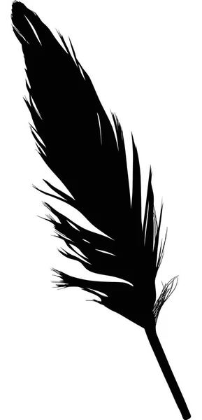Illustration Single Black Feather White Background — Stock Vector