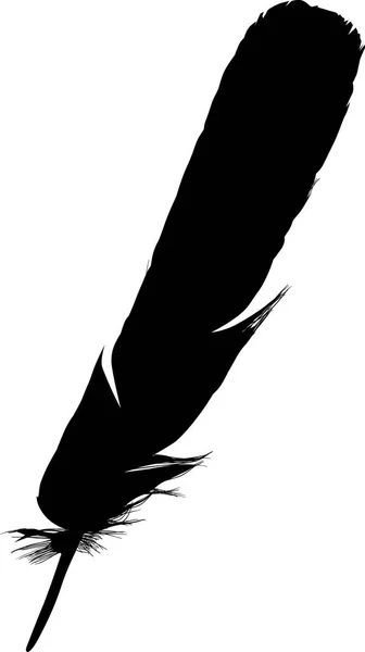 Illustration Single Black Feather White Background — Stock Vector