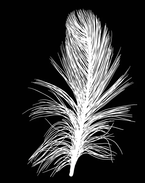 Illustration Avec Une Seule Plume Blanche Sur Fond Noir — Image vectorielle