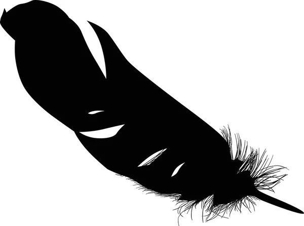 白色背景上的单根黑色羽毛插图 — 图库矢量图片