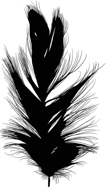 Abbildung Mit Einer Einzigen Schwarzen Feder Auf Weißem Hintergrund — Stockvektor
