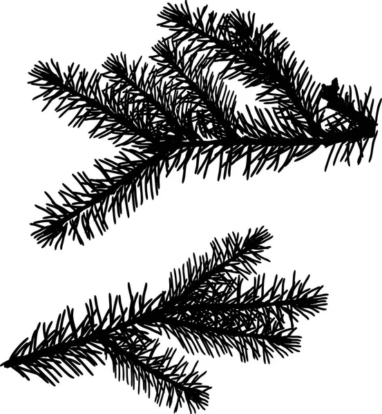 白い背景の分離された黒いモミの枝のイラスト — ストックベクタ