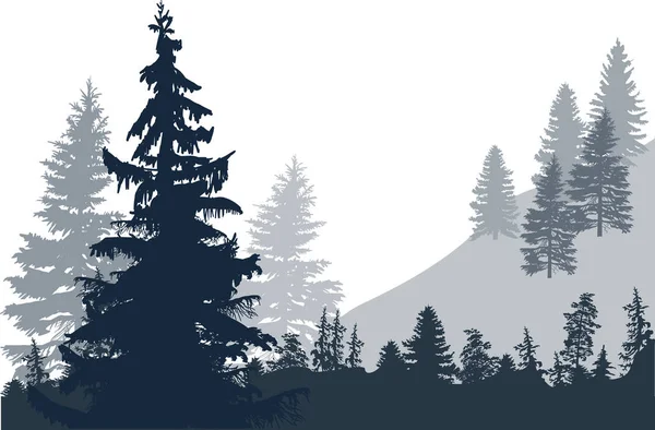 Illustration Avec Forêt Sapins Isolés Sur Fond Blanc — Image vectorielle