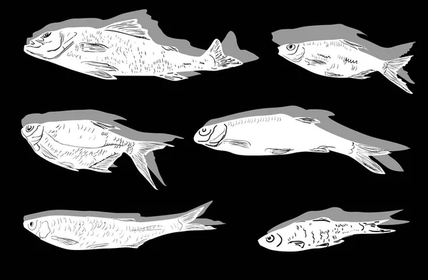 Illustration Med Fisk Samling Isolerade Svart Bakgrund — Stock vektor