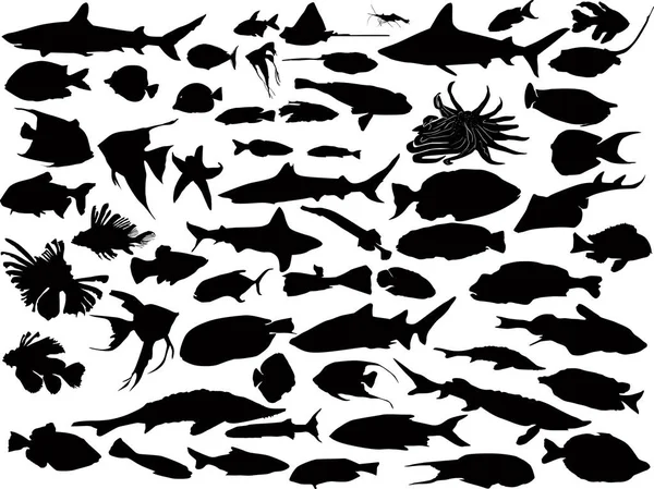 Illustration Med Fisk Samling Isolerade Vit Bakgrund — Stock vektor