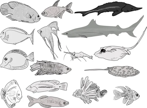 Illustration Med Fisk Samling Isolerade Vit Bakgrund — Stock vektor
