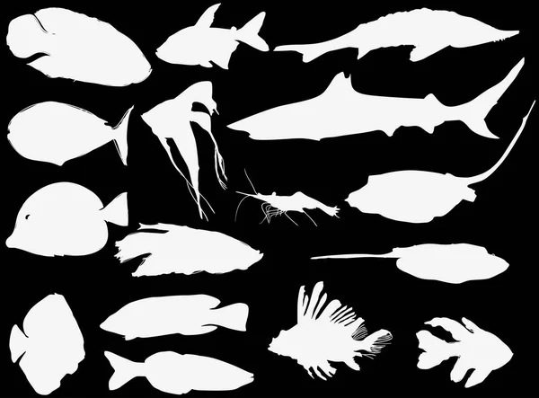 Illustration Fish Collection Isolated White Background — Stock Vector