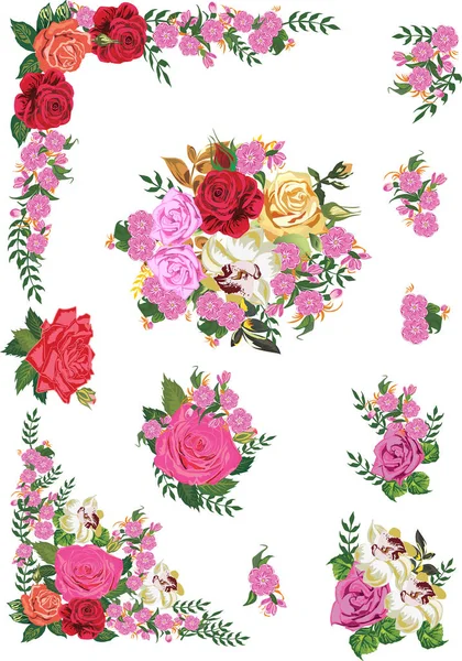 Ilustração Com Rosa Flor Elementos Decorados Isolados Sobre Fundo Branco — Vetor de Stock