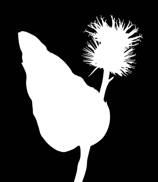 Ілюстрація Диким Квітковим Силуетом Ізольована Чорному Фоні — стоковий вектор