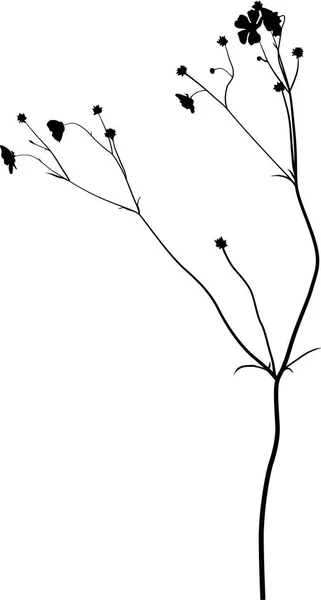 Illustrazione Con Silhouette Fiore Selvatico Isolato Sfondo Bianco — Vettoriale Stock