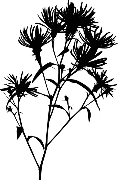 Illustrazione Con Silhouette Fiore Selvatico Isolato Sfondo Bianco — Vettoriale Stock