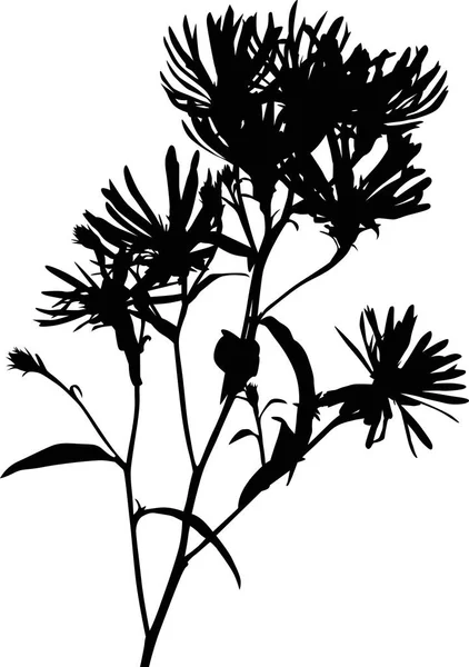 Vild Blomma Isolerad Vit Bakgrund — Stock vektor