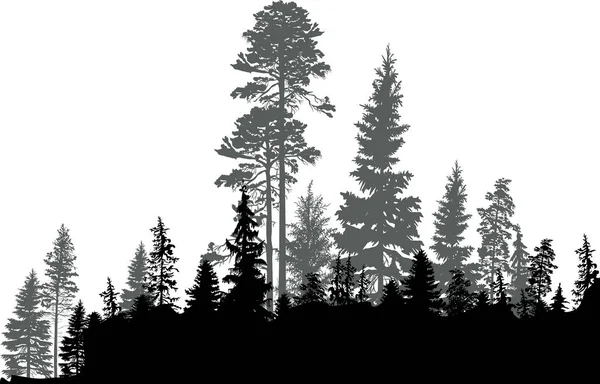 Ilustración Con Bosque Negro Aislado Sobre Fondo Blanco — Vector de stock