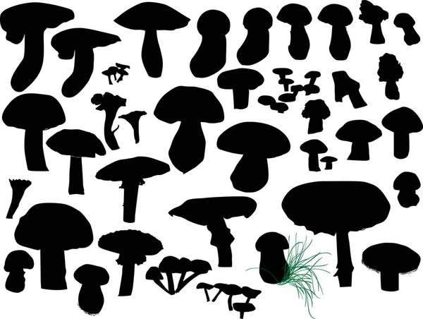 Ilustração Com Cogumelos Isolados Sobre Fundo Branco — Vetor de Stock