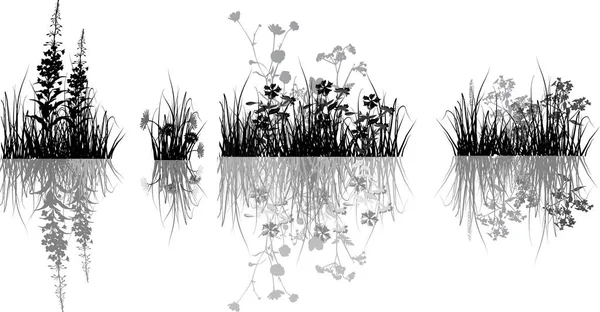 Illustratie Met Zwarte Bloemen Gras Geïsoleerd Witte Achtergrond — Stockvector