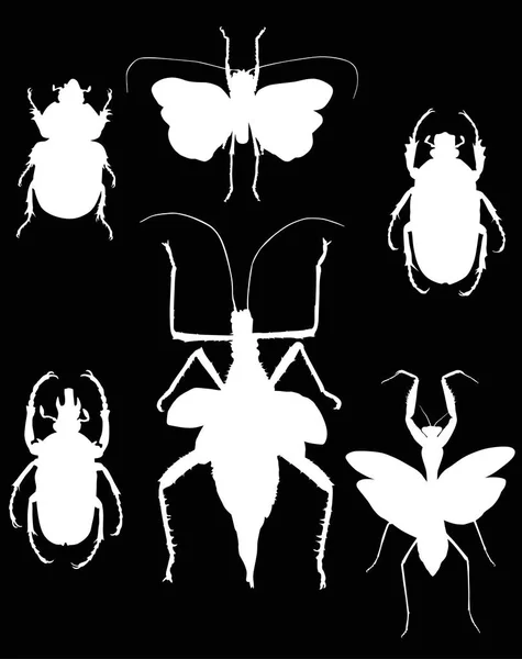 Illustration Insect Collection Isolated Black Background — Stock Vector