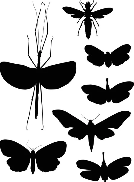 Illustration Avec Collection Insectes Isolés Sur Fond Blanc — Image vectorielle