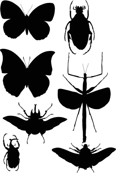 Иллюстрация Коллекцией Насекомых Белом Фоне — стоковый вектор