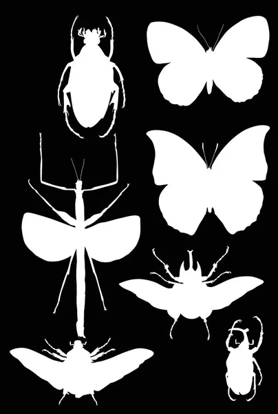 Illustration Avec Collection Insectes Isolés Sur Fond Noir — Image vectorielle