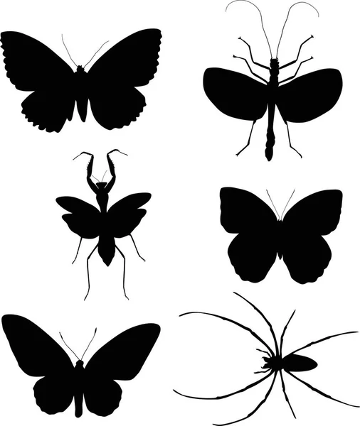 Illustration Avec Collection Insectes Isolés Sur Fond Blanc — Image vectorielle
