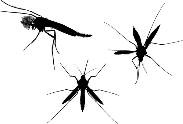 Illustration Three Mosquito Silhouettes Isolated White Background — Stock Vector