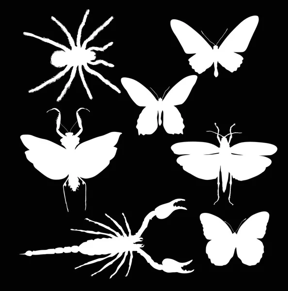黒の背景に分離された昆虫のコレクション イラスト — ストックベクタ