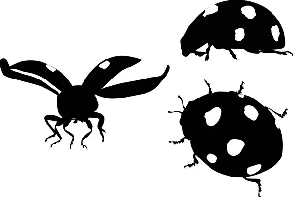 Illustration Ladybugs Isolated White Background — Stock Vector