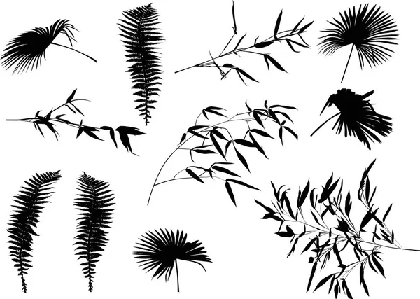 Иллюстрация Коллекцией Тропических Листьев Белом Фоне — стоковый вектор
