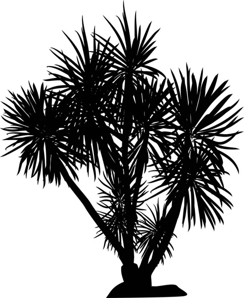 Illustration Palm Tree Isolated White Background — Stock Vector