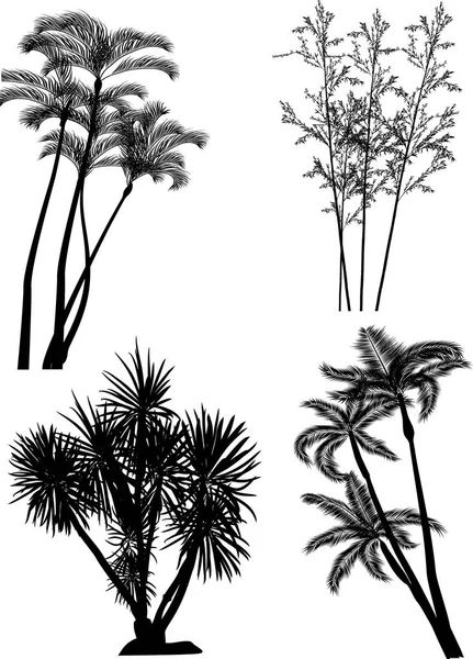 Illustration Med Palm Träd Siluetter Isolerad Vit Bakgrund — Stock vektor