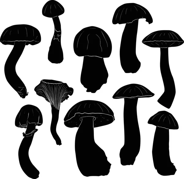 Illustration Fungus Silhouettes Isolated White Background — Stock Vector