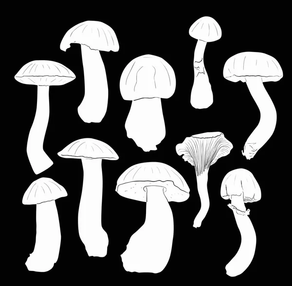 Illustration Fungus Silhouettes Isolated Black Background — Stock Vector