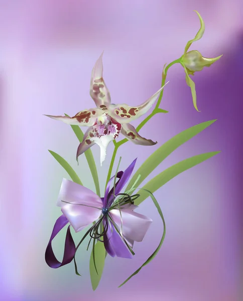 Иллюстрация Пятнистым Розовым Цветком Орхидеи Луком — стоковый вектор