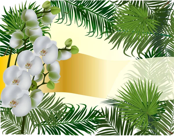 ライラック蘭と緑でイラスト ヤシの葉は 白い背景で隔離 — ストックベクタ