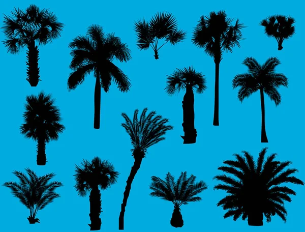 Ilustrace Palm Siluety Izolované Modrém Pozadí — Stockový vektor
